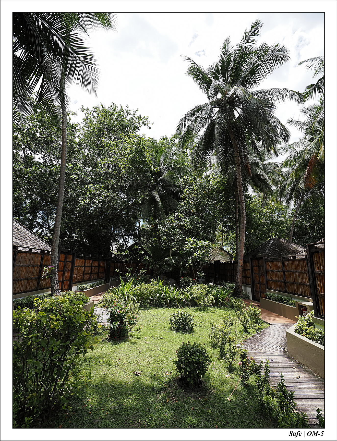 2024 - 08 -Angsana Velavaru - 47